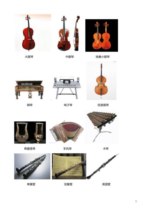 音乐器材大全有哪些名称和图片的相关图片